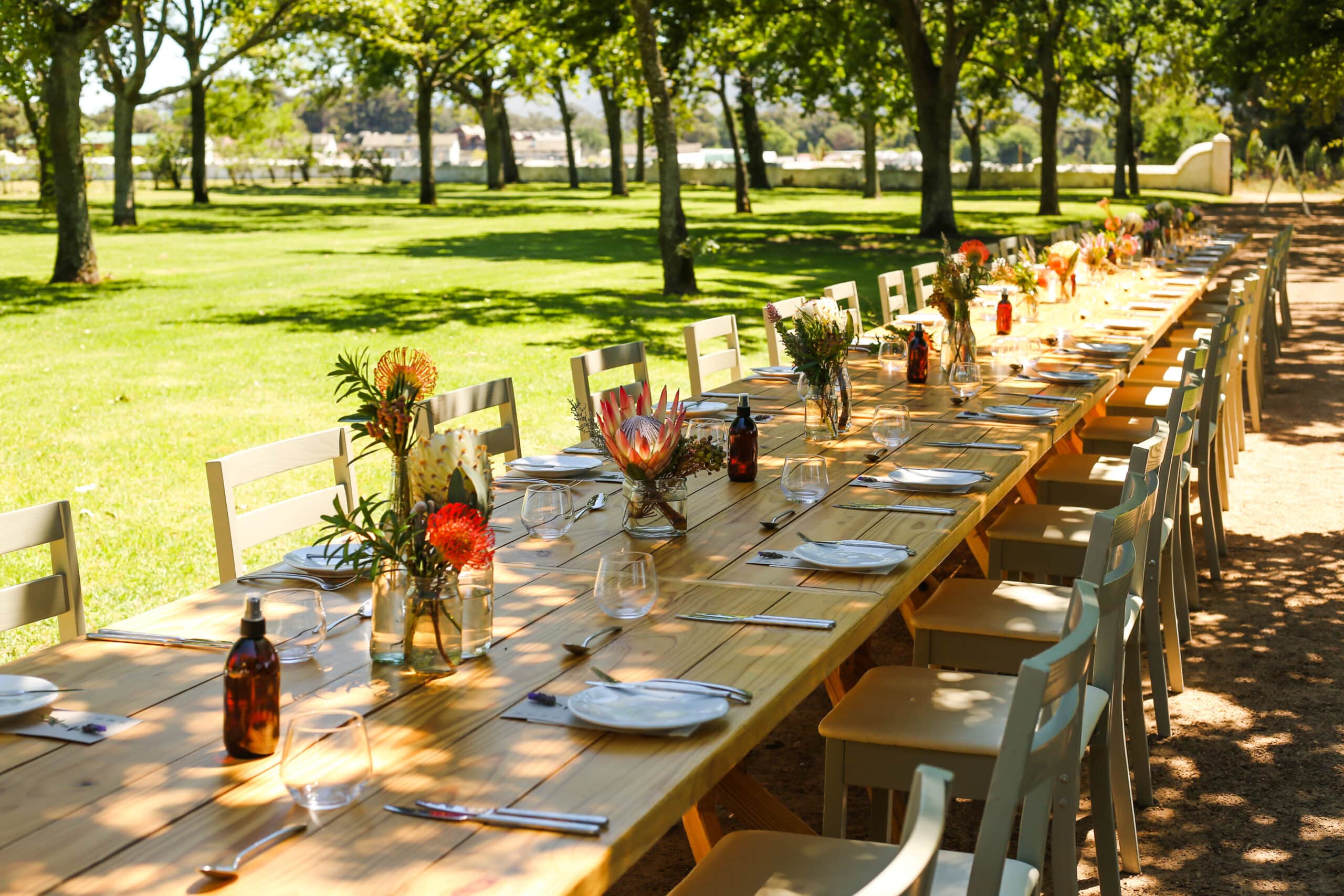 A long table set under trees at a Cape Winelands wine estate with protea flowers