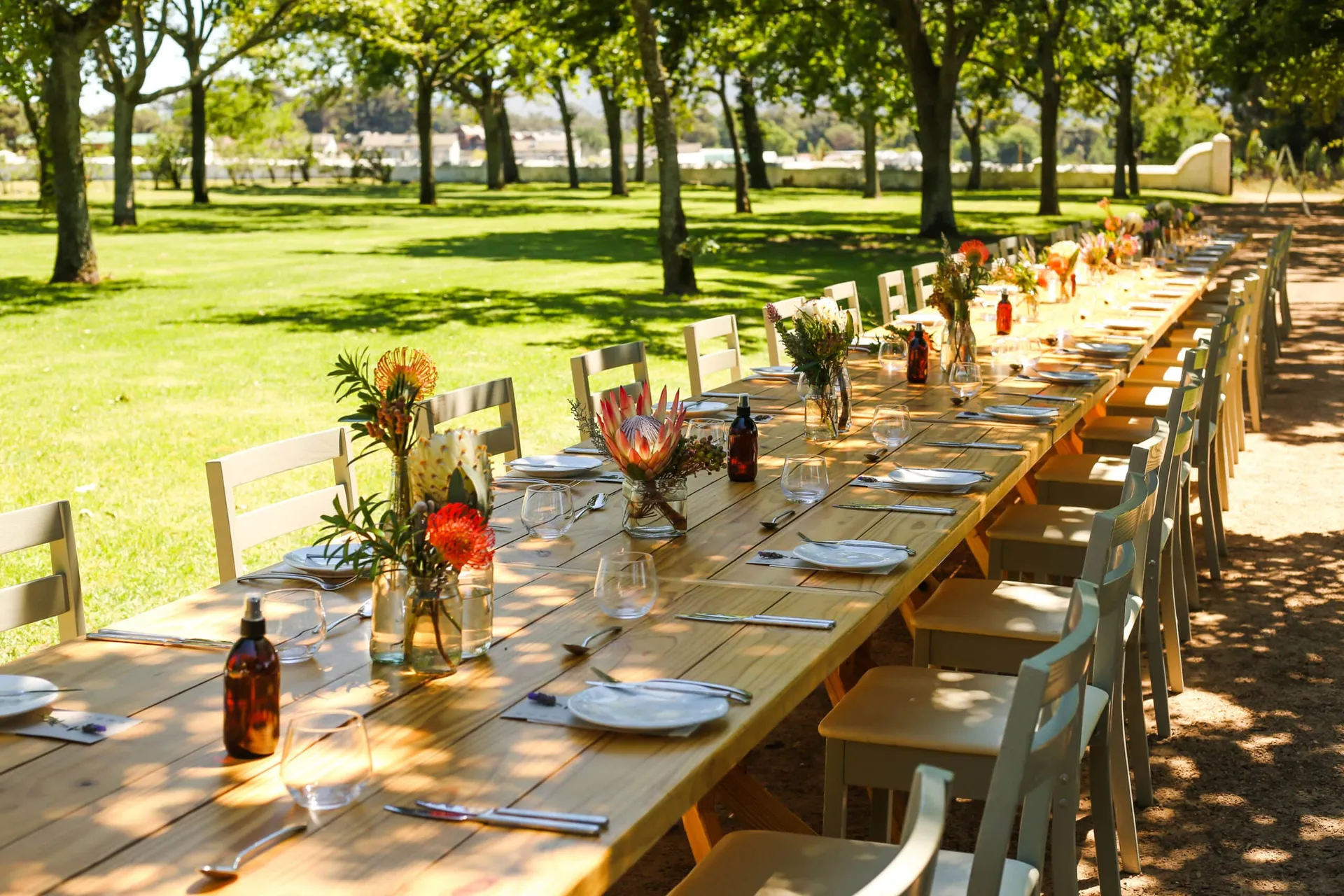 A long table set under trees at a Cape Winelands wine estate with protea flowers