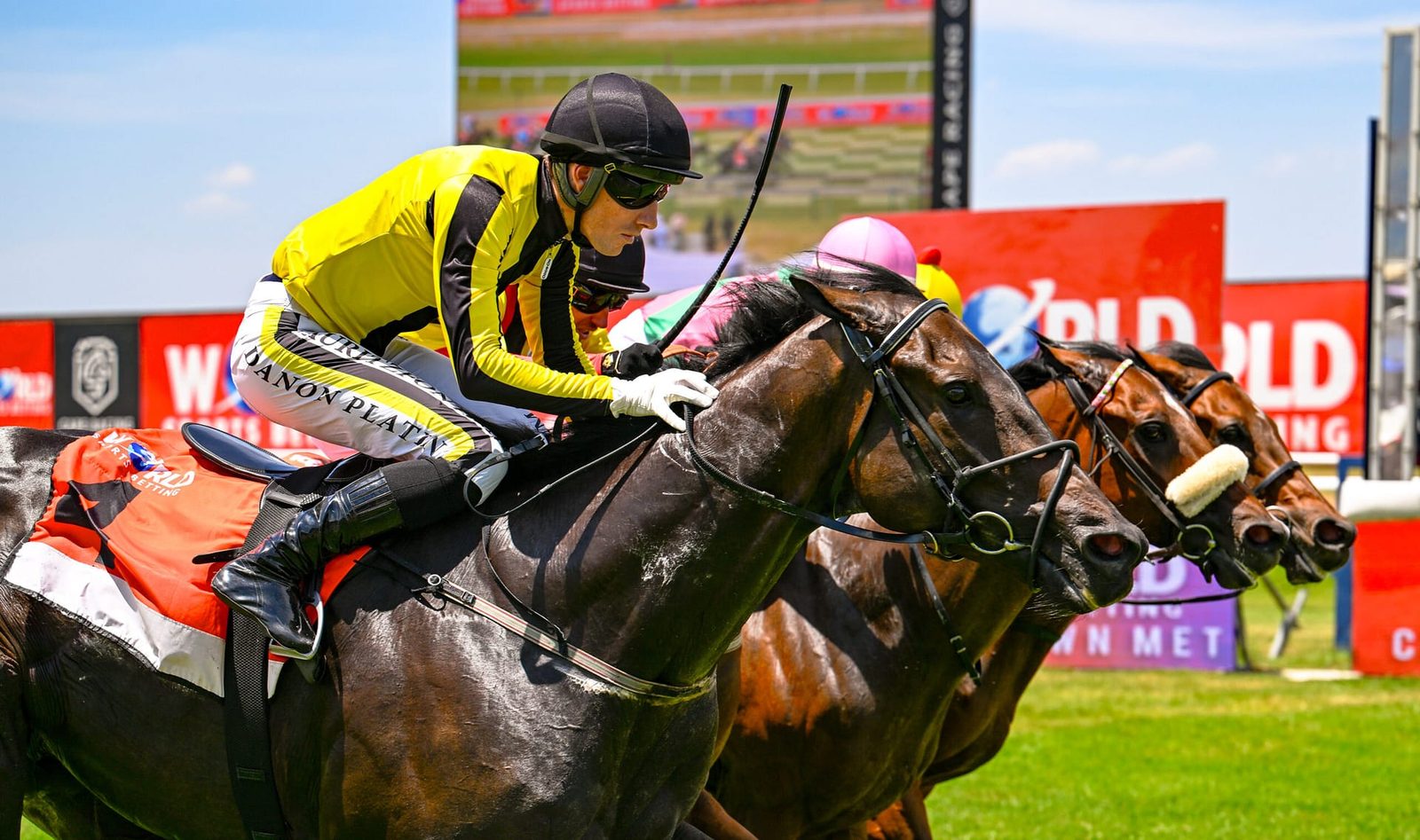 World Sports Betting Cape Town Met — Hollywoodbets Kenilworth Racecourse, Cape Town