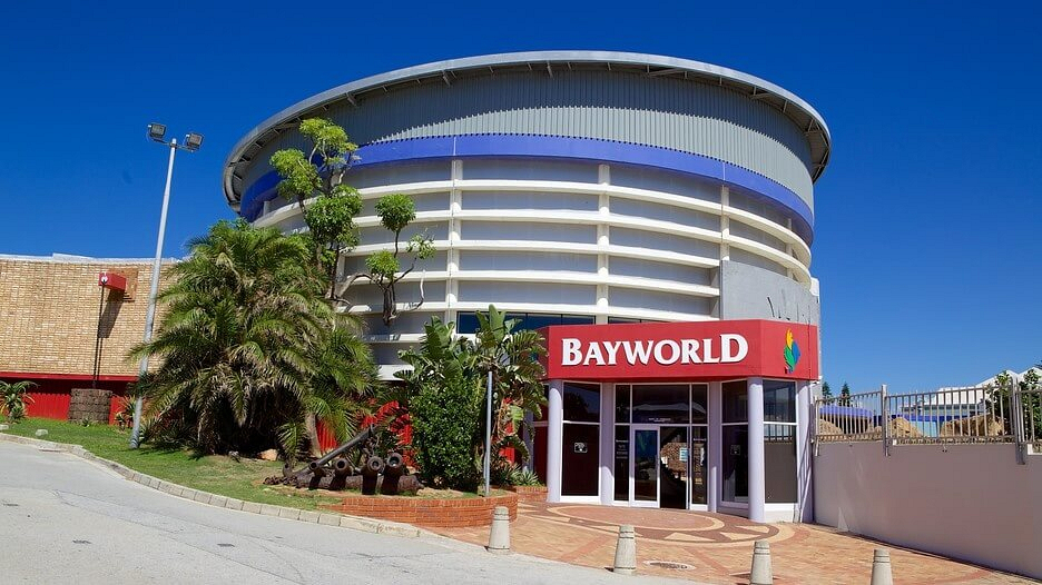 Bayworld (Nelson Mandela Bay Museum & Oceanarium)