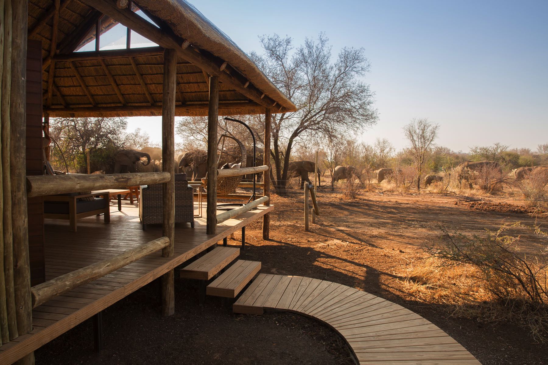 Black Rhino Game Lodge — Pilanesberg (Moses Kotane LM)