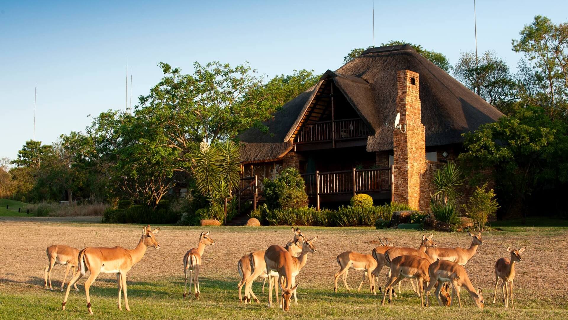 Kruger Park Lodge — Hazyview