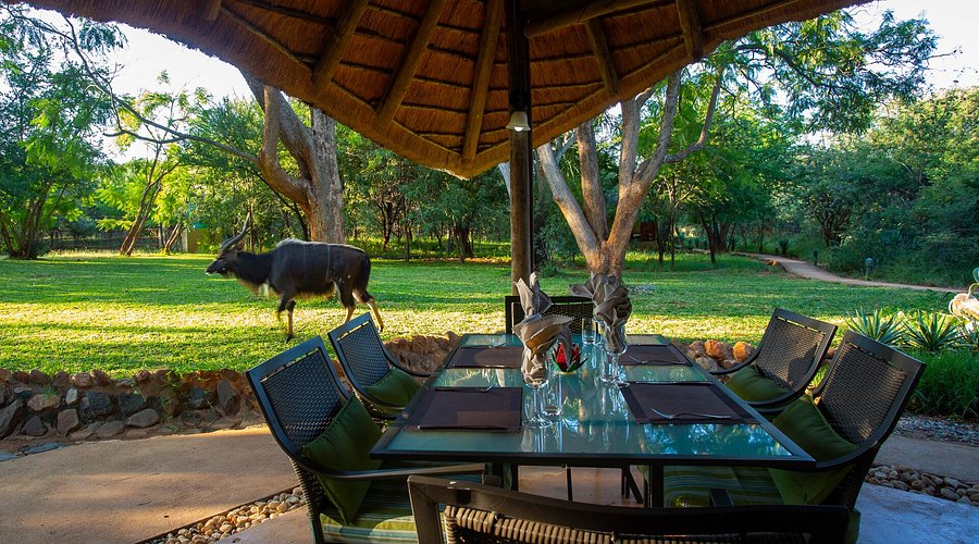 Kubu Safari Lodge & Conference Centre — Hoedspruit