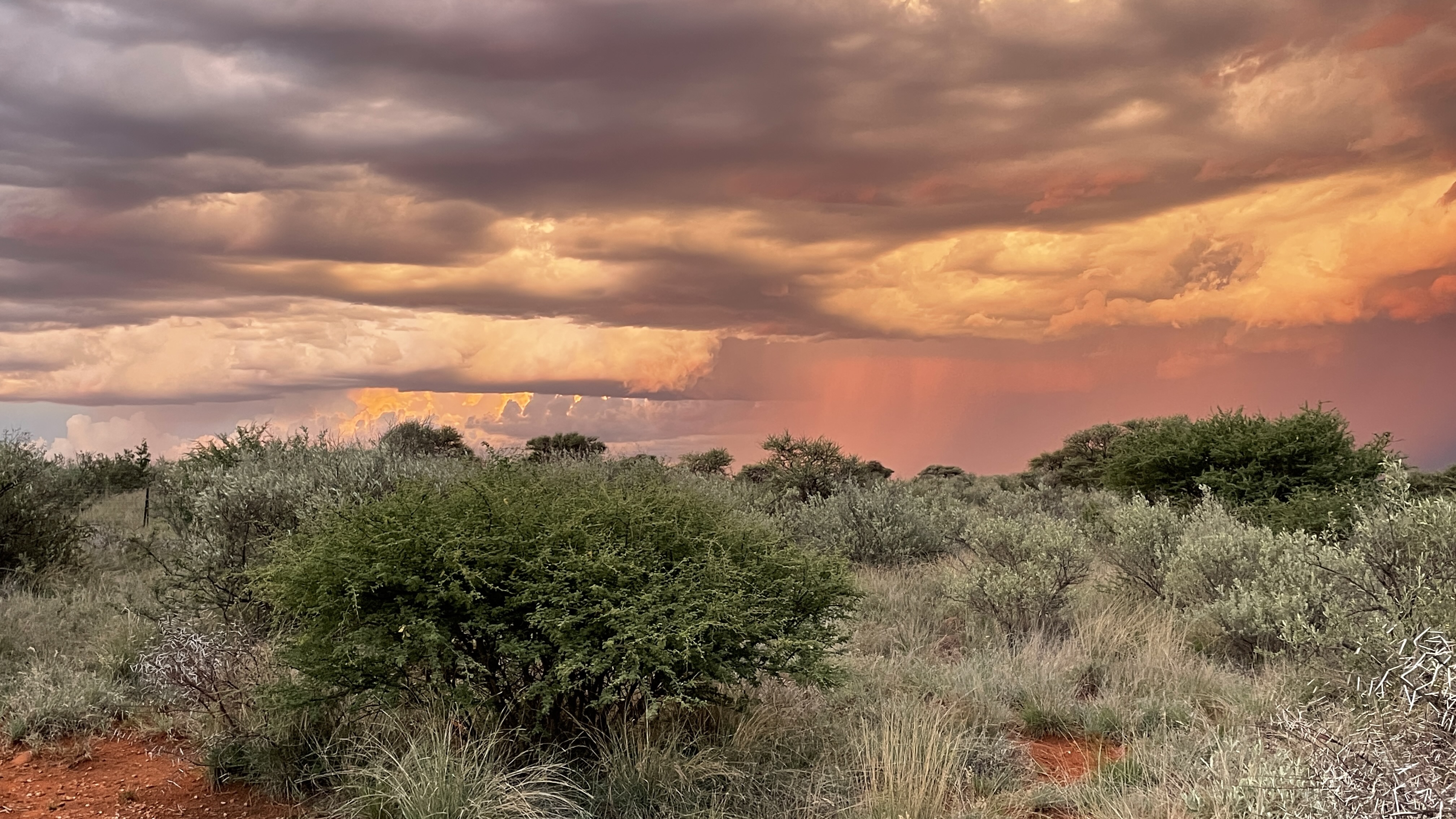Mokala National Park Conference Centres (Mosu & Mofele)