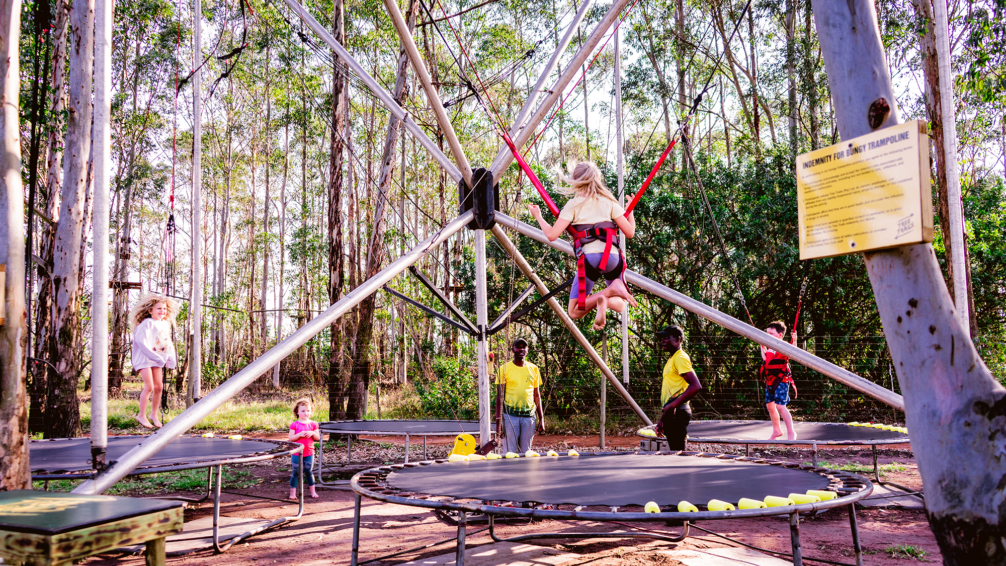 Sugar Rush Park